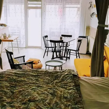 Barbuat, Grand Cosy *